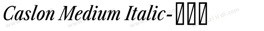 Caslon Medium Italic字体转换